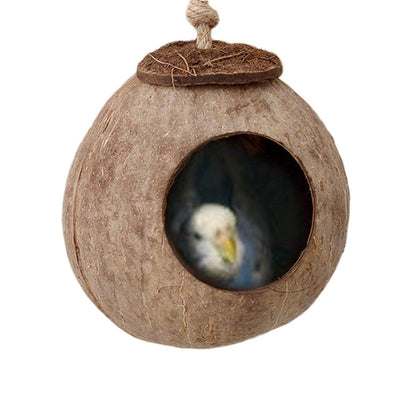 Natural coconut shell bird nest with a wooden ladder, featuring a hanging rope for small birds or hamsters. - Image 11