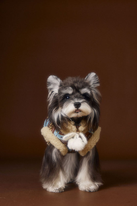 Chaleco Fair Isle para Mascotas Schnauzer Bichon Teddy - Image 25