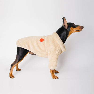 Traje Formal de Franela para Perros Pequeños y Medianos - Image 5