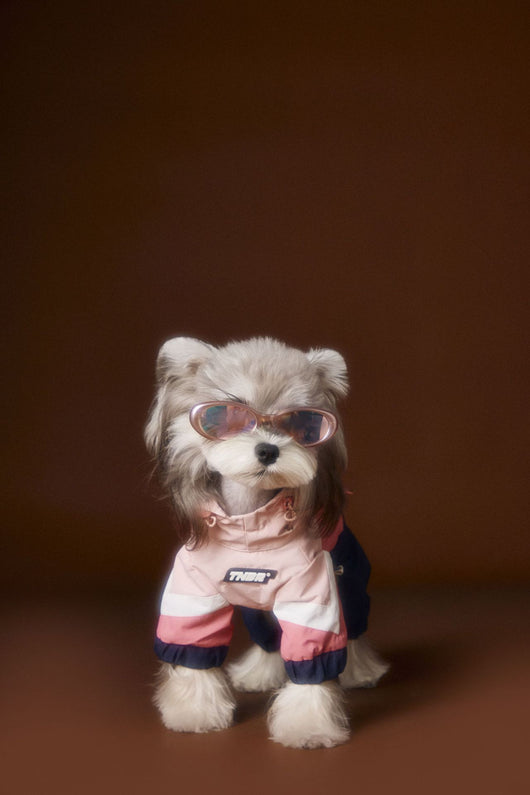 Ropa Deportiva para Perros Bichon Schnauzer con Arnés de Seguridad VIP - Image 19