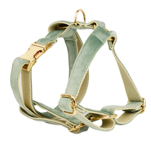 Collar para Perro de Terciopelo Suave - Image 11