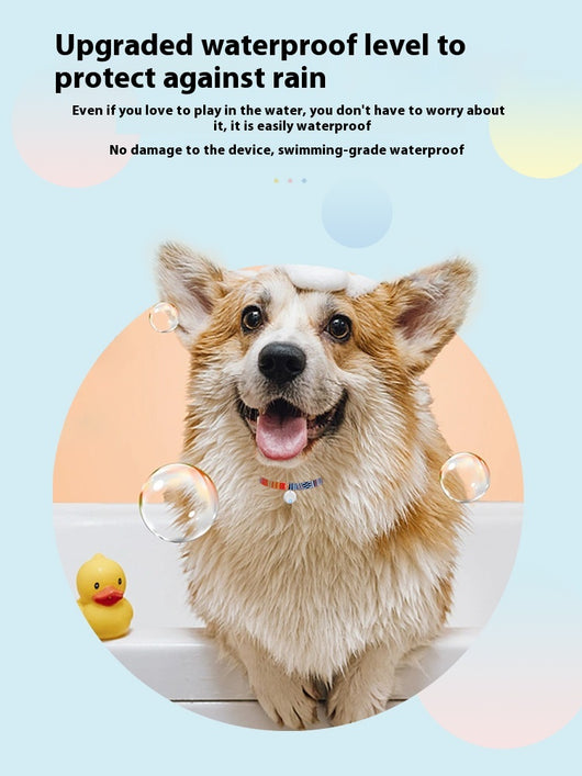 Localizador GPS para Mascotas con Alarma Antirrobo - Gatos y Perros - Image 14