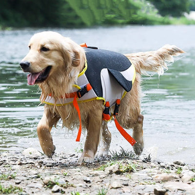 Ropa de Verano para Perros Corgi y Golden Retriever - Image 4