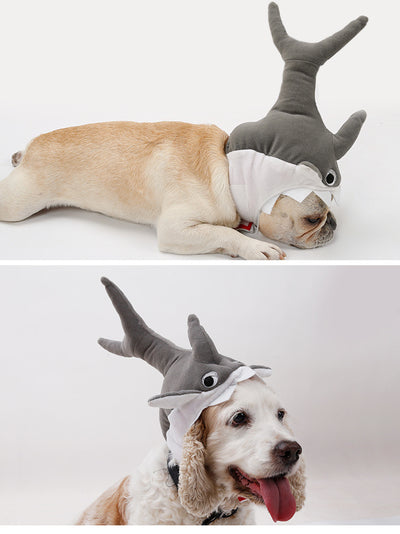 Gorro Tiburón para Mascotas - Disfraz Adorable de Transformación - Image 9