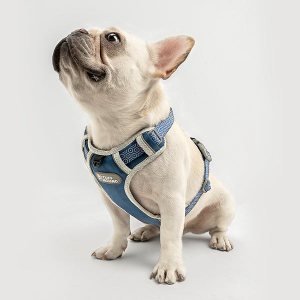 Arnés de Pecho con Cuerda de Tracción para Perros
