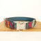 Collar para Perro con Hebilla de Aleación
