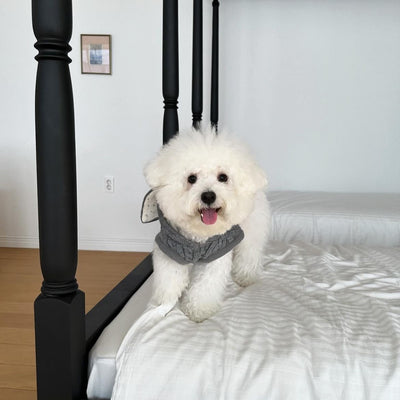 Capa Térmica Acogedora para Mascotas - Image 10