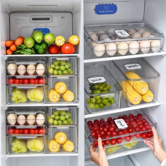 Contenedor Hermético para Conservación de Alimentos