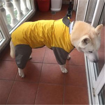 Impermeable Integral para Perros - Image 13