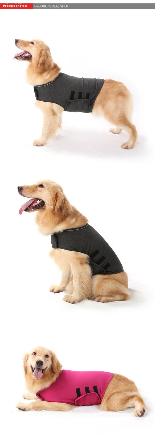 Chaleco Calmante para Mascotas - Ropa Antiansiedades - Image 12