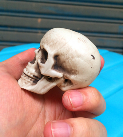 Calavera de Terror Miniatura 5cm - Decoración para Casas Embrujadas - Image 4