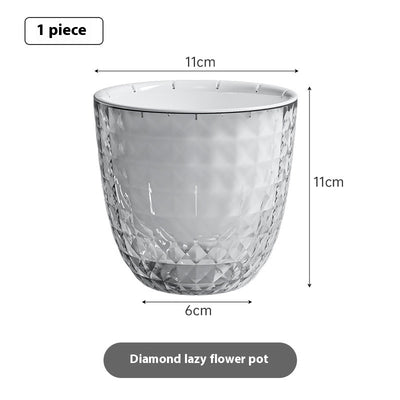 Maceta Transparente Autorregante con Diseño Floral - Image 13