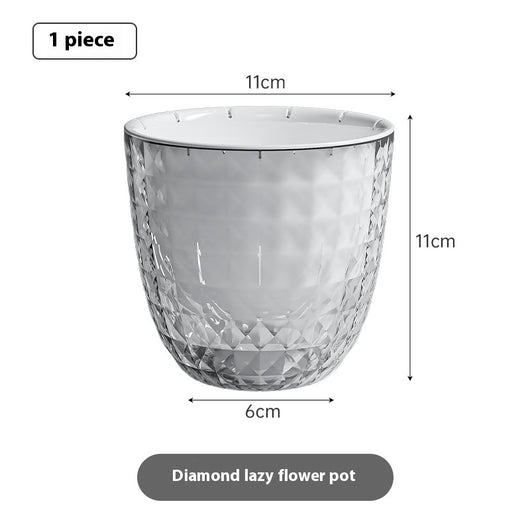 Maceta Transparente Autorregante con Diseño Floral - Image 13