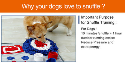 Manta de Entrenamiento Olfativo para Mascotas con Texturas Interactivas - Image 9