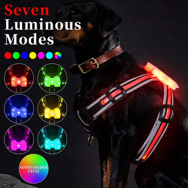 Chaleco LED Reflectante para Pasear Perros de Noche