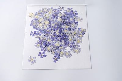 Marcapáginas con Flor de Cerezo Deshidratada - Accesorio Ornamental con Espécimen Botánico - Image 14