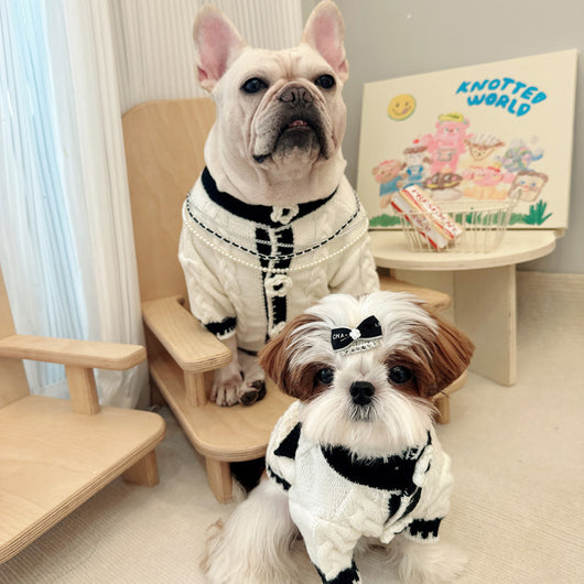 Suéter Térmico para Perros Pequeños - Abrigo Otoño Invierno - Image 13