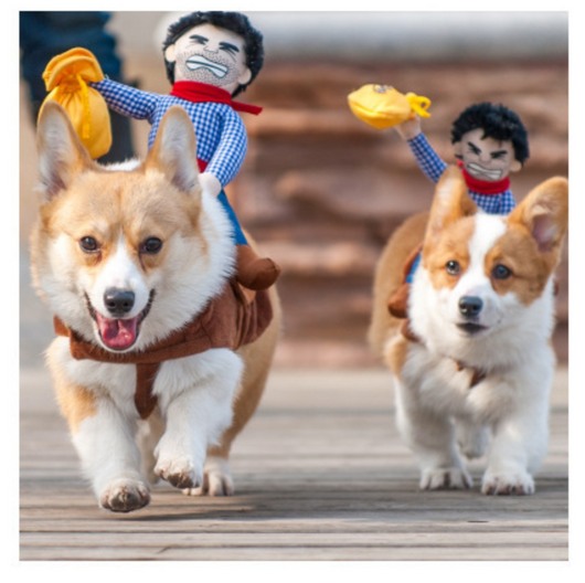 Ropa Ecuestre para Mascotas