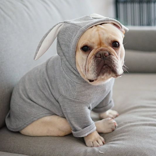 Ropa para Perros Primavera Otoño - Abrigo Cómodo y Elegante
