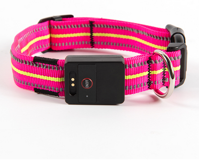 Collar Inteligente para Mascotas con Fibra Óptica, Impermeable y Carga Magnética - Image 3
