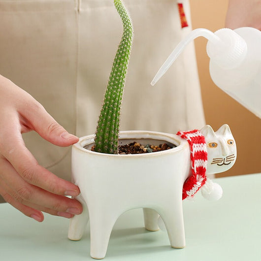 Maceta Decorativa de Cerámica con Diseño de Gato y Cactus - Image 6