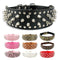 Collar Remachado para Perros Grandes