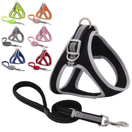 Arnés Pectoral para Mascotas con Cuerda de Tracción