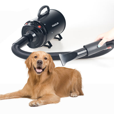 Secador de Aire para Mascotas de Alta Potencia Silencioso - Image 6