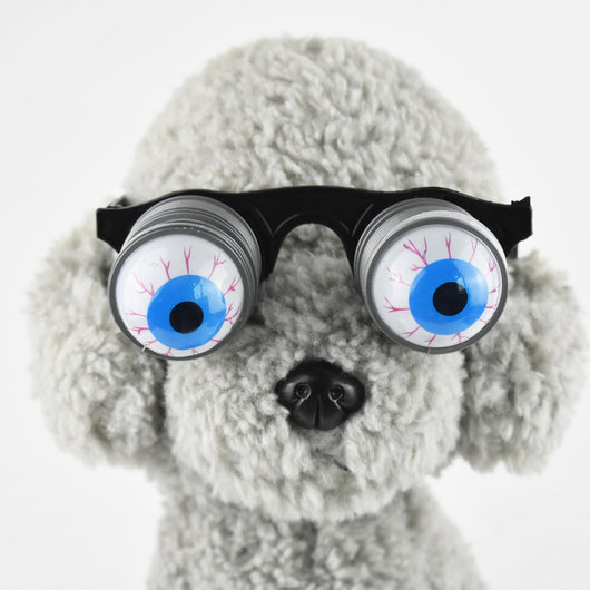 Gafas Divertidas con Resorte para Mascotas - Accesorios Cómicos - Image 4