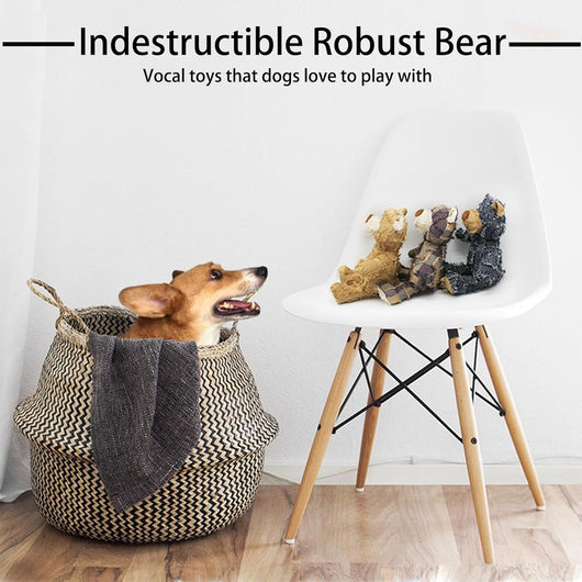 Osito Indestructible con Sonajero - Juguete Resistente para Perros Masticadores - Image 17