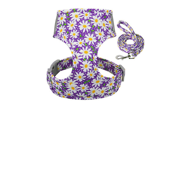 Collarín y Correa Pectoral de Soporte