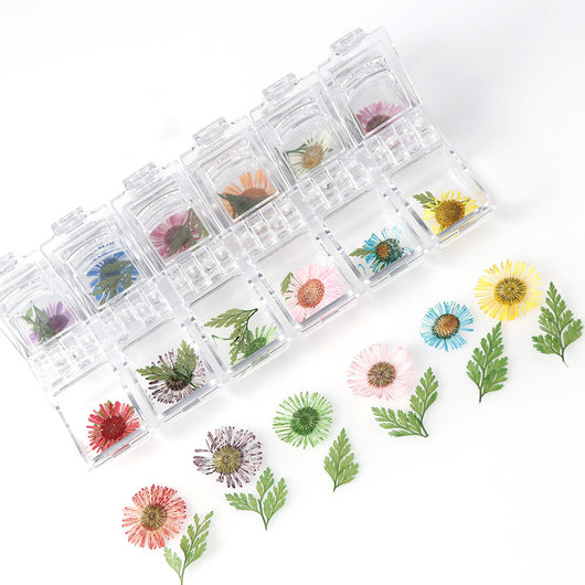 Set de 12 Cajas de Joyas con Flores Secas Naturales - Image 16