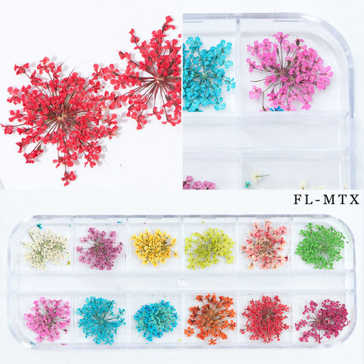 Flores Secas para Nail Art - Image 4