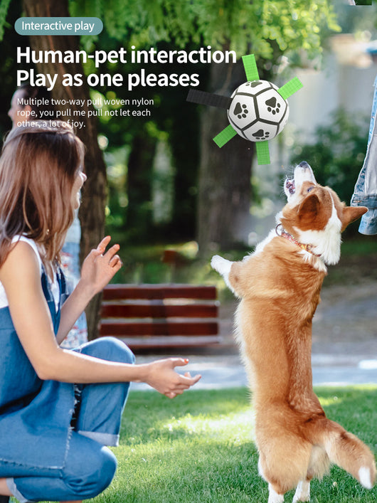 Interactive dog football toy with black and white panels, paw prints, green nylon tabs, and a green carabiner clip. Includes a black inflation pump. - Image 100