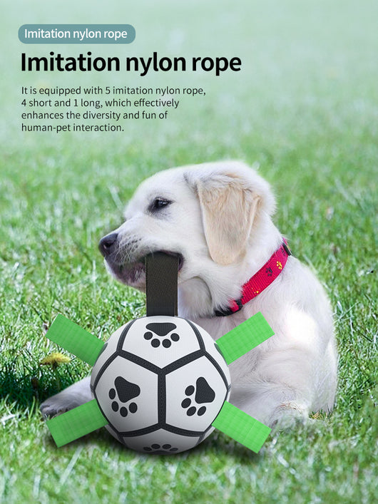 Interactive dog football toy with black and white panels, paw prints, green nylon tabs, and a green carabiner clip. Includes a black inflation pump. - Image 101