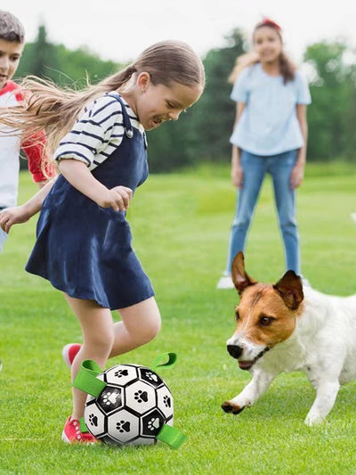 Interactive dog football toy with black and white panels, paw prints, green nylon tabs, and a green carabiner clip. Includes a black inflation pump. - Image 114