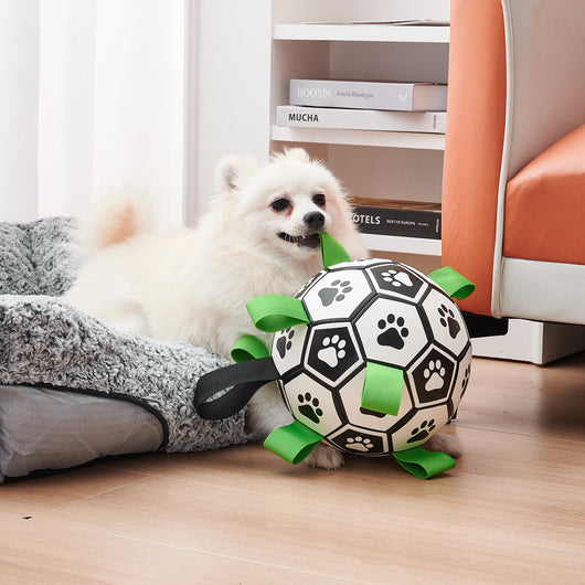 Interactive dog football toy with black and white panels, paw prints, green nylon tabs, and a green carabiner clip. Includes a black inflation pump. - Image 21
