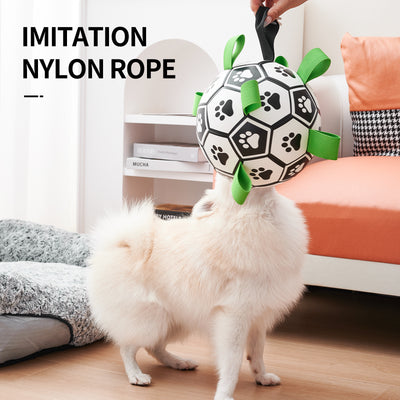 Interactive dog football toy with black and white panels, paw prints, green nylon tabs, and a green carabiner clip. Includes a black inflation pump. - Image 23