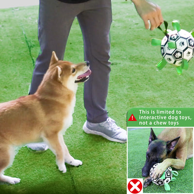 Interactive dog football toy with black and white panels, paw prints, green nylon tabs, and a green carabiner clip. Includes a black inflation pump. - Image 42