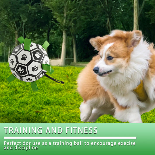 Interactive dog football toy with black and white panels, paw prints, green nylon tabs, and a green carabiner clip. Includes a black inflation pump. - Image 43