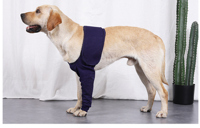 Manga Protectora Antilamido para Recuperación Postoperatoria de Perros - Image 15