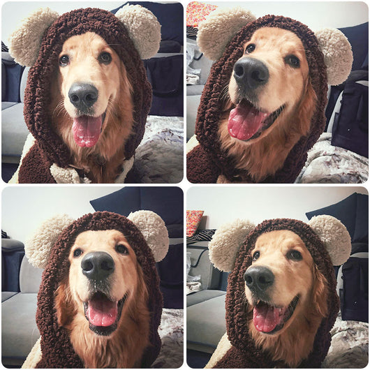 Abrigo Térmico para Perros Labrador - Traje de Invierno de 4 Patas - Image 2