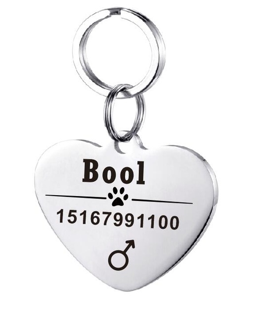 Placa de Identificación para Perro en Acero Inoxidable Personalizada - Image 20
