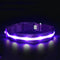 Purple USB L