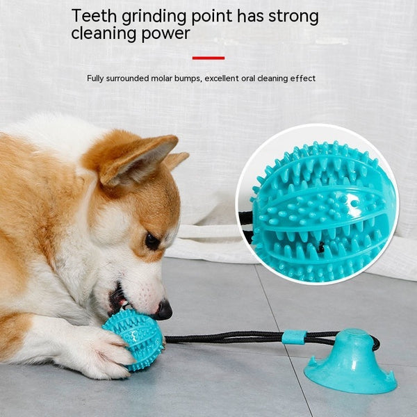Green dog toy with a suction cup base and a textured ball on a black cord, designed for food dispensing and teeth cleaning.