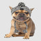Gris Talla L