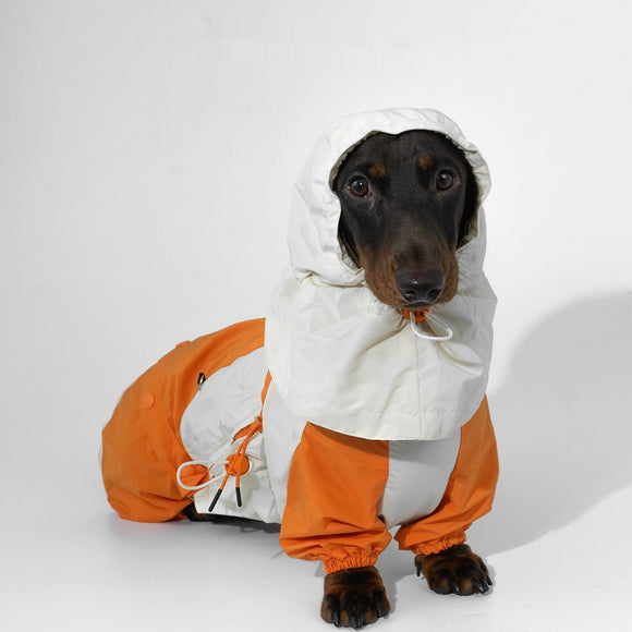 Ropa de Invierno a Juego para Mascotas
