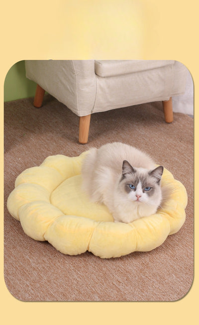 Cama Nido Doble Cara para Perros y Gatos 50x50cm - Diseño Pétalos Multicolor - Image 11