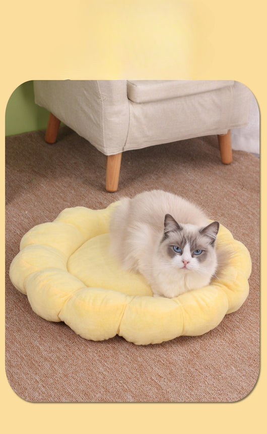 Cama Nido Doble Cara para Perros y Gatos 50x50cm - Diseño Pétalos Multicolor - Image 11