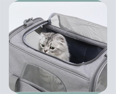 Bolsa Transportadora Plegable para Mascotas Pequeñas - Diseño Respirable - Image 23